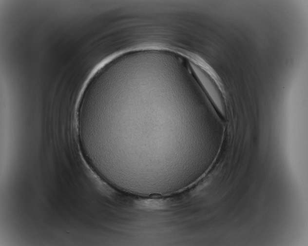 X0000086731380200705041339