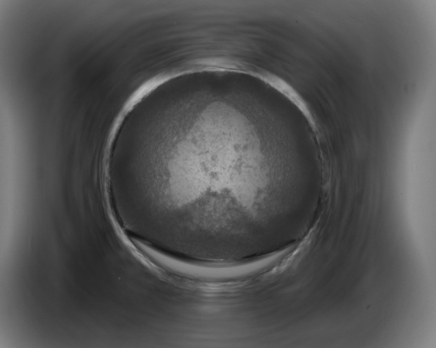 X0000086731381200705041339