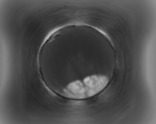 X0000086731382200705041339