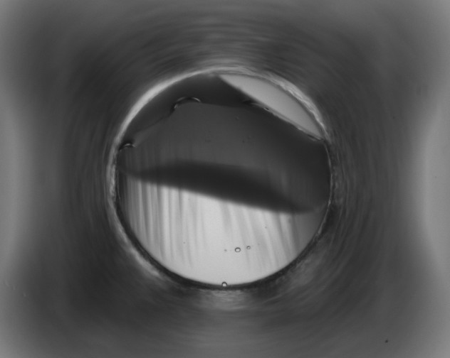 X0000086731383200705041339