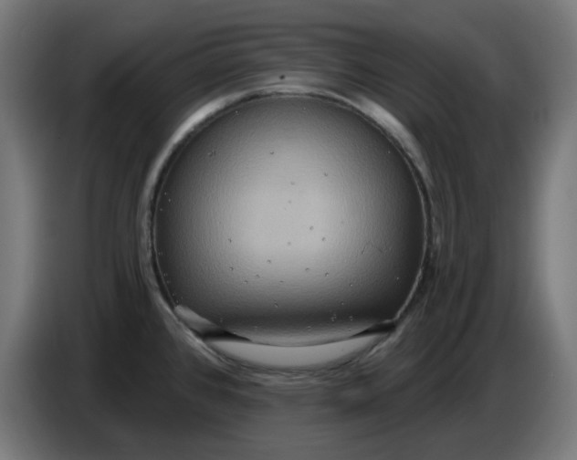 X0000086731384200705041339