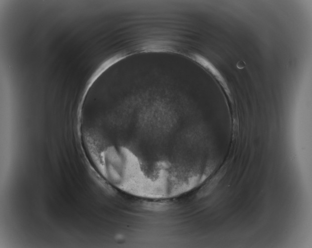 X0000086731386200705041339