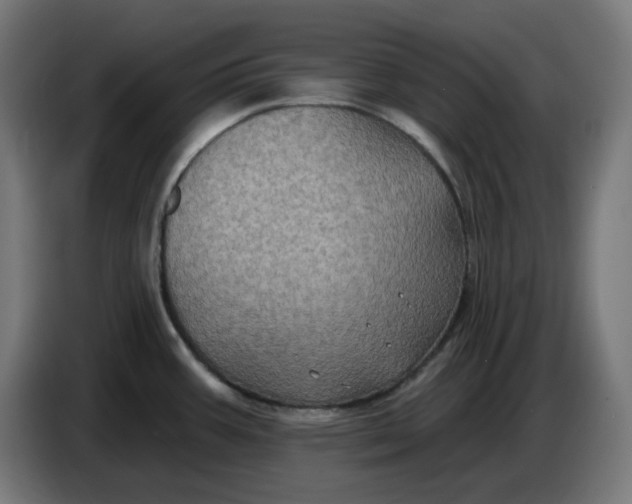 X0000086731387200705041339