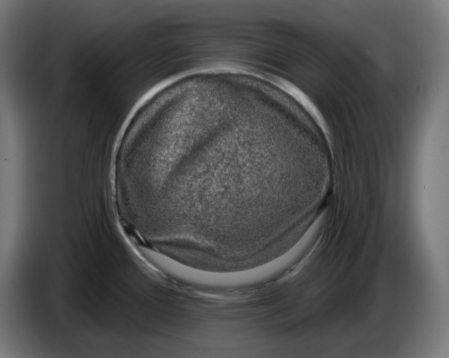 X0000086731388200705041339