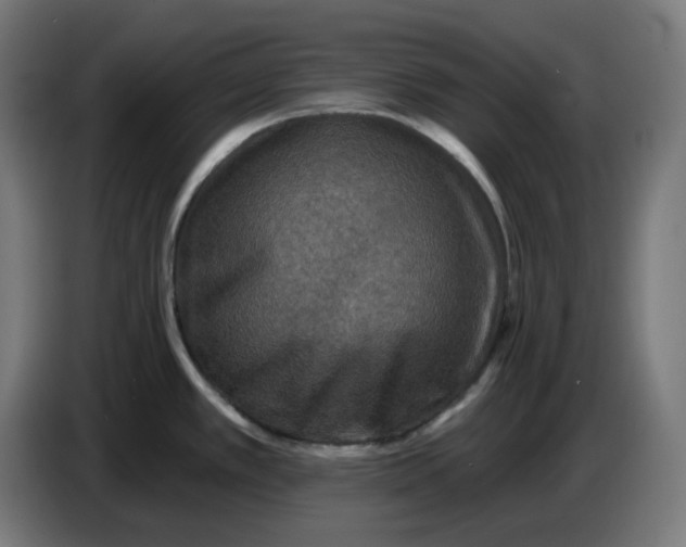 X0000086731389200705041339