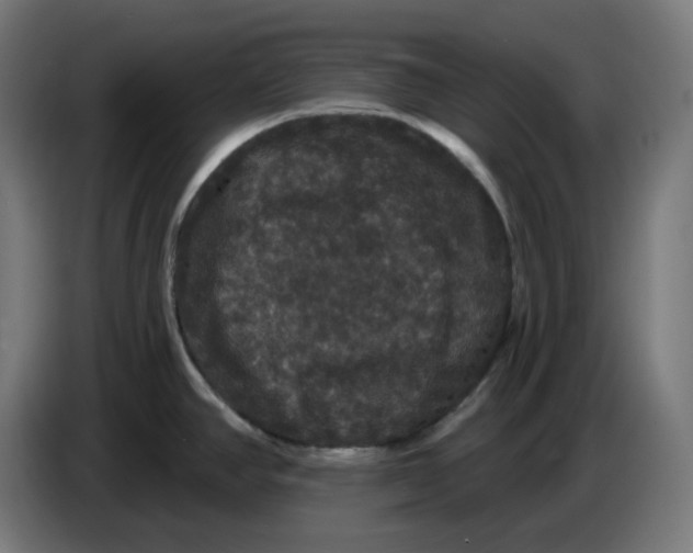 X0000086731390200705041339