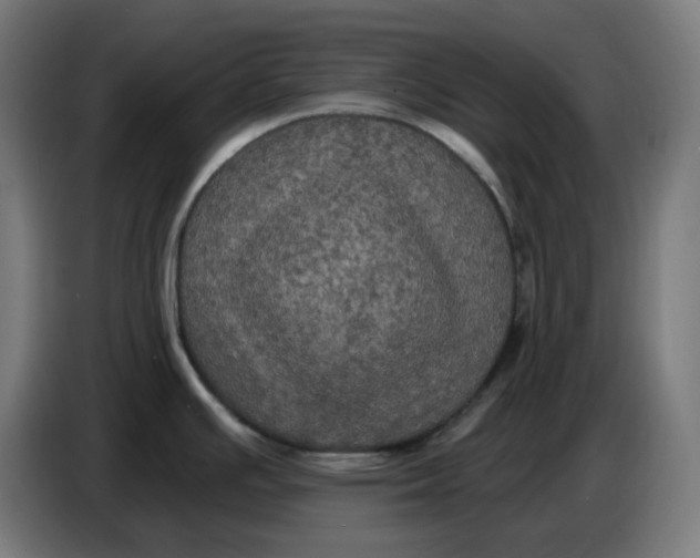 X0000086731391200705041339