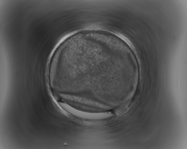 X0000086731392200705041339