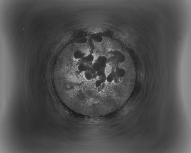 X0000086731393200705041338