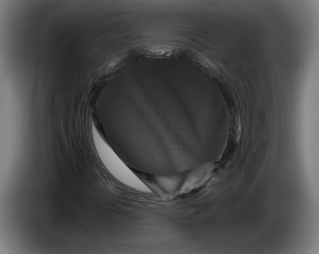 X0000086731394200705041338