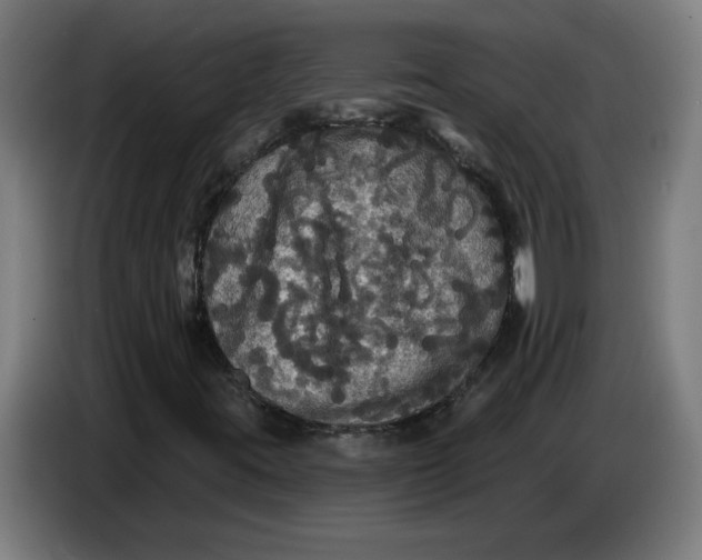 X0000086731395200705041338