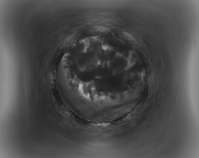 X0000086731397200705041338