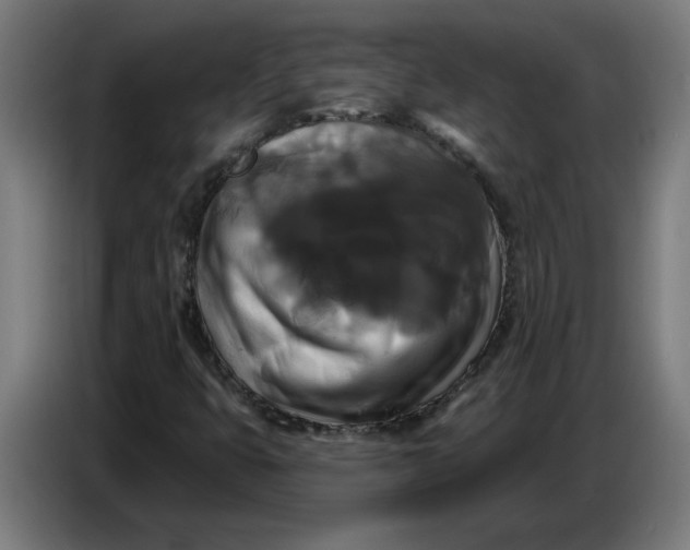 X0000086731399200705041338