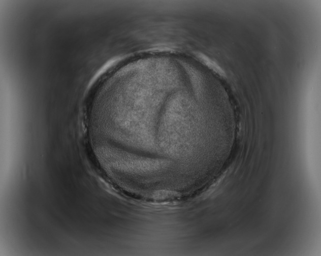 X0000086731400200705041338