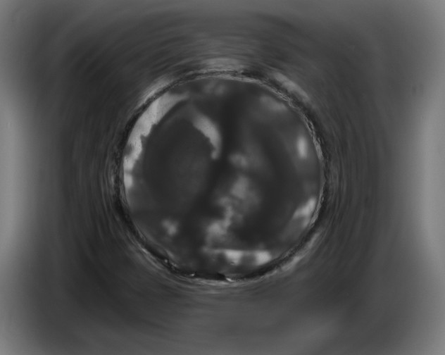 X0000086731401200705041338