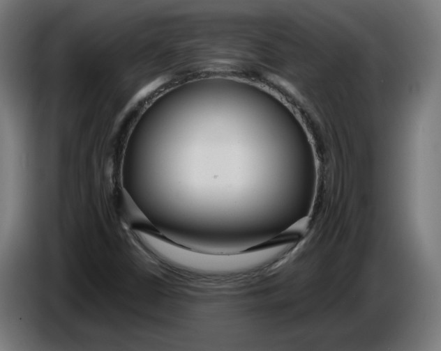 X0000086731402200705041338