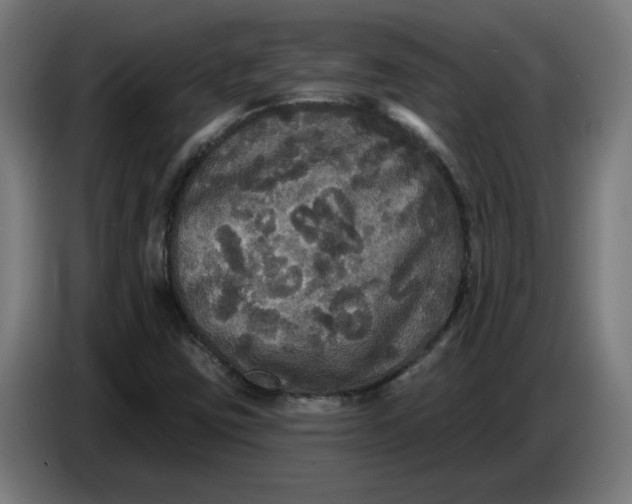 X0000086731403200705041338