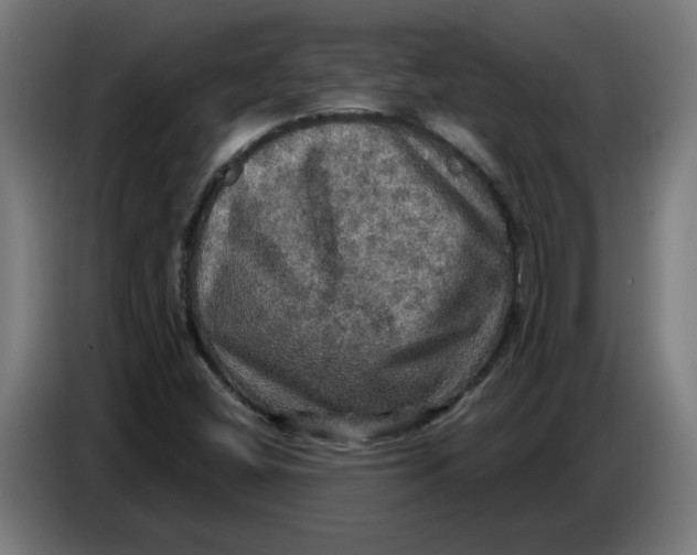 X0000086731404200705041338