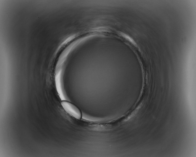 X0000086731405200705041338