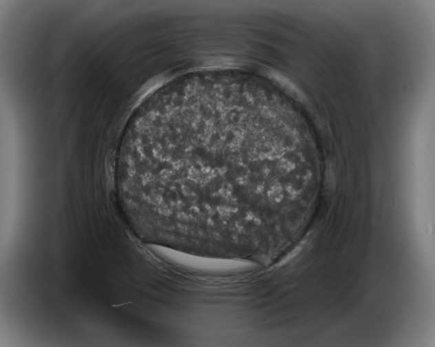 X0000086731409200705041338