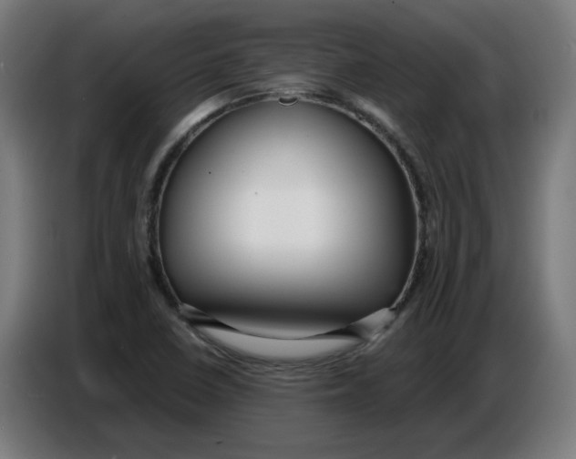 X0000086731410200705041338