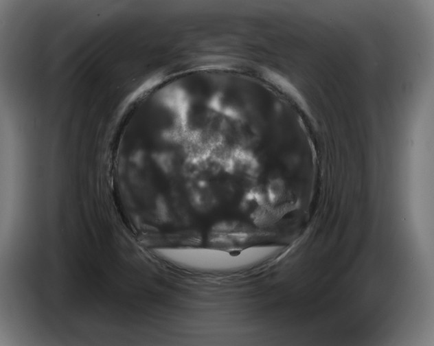 X0000086731411200705041338