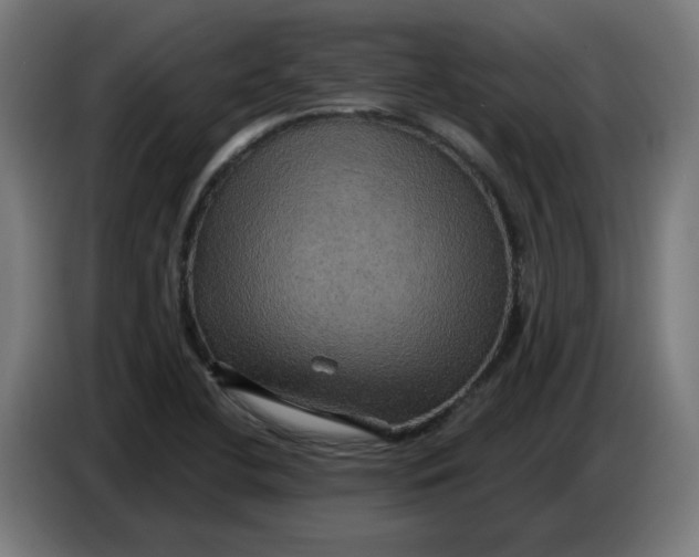 X0000086731412200705041338