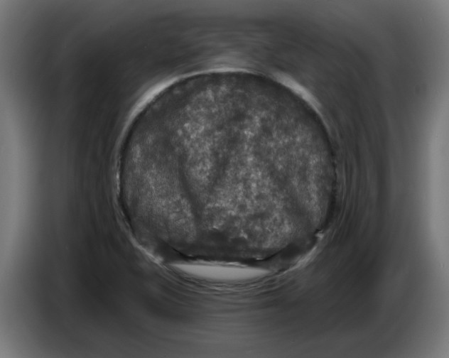 X0000086731415200705041338