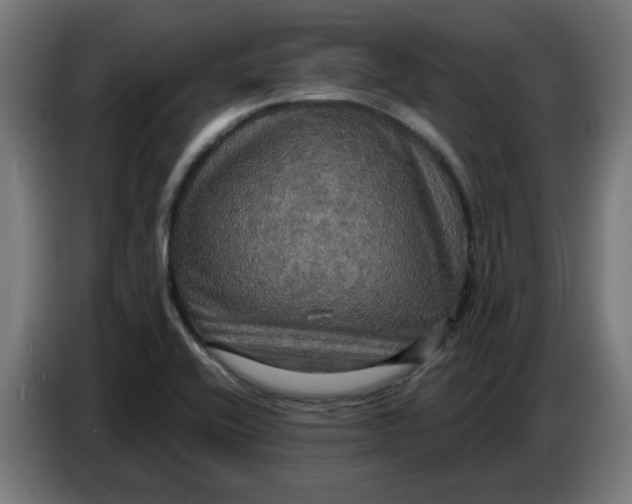 X0000086731416200705041338