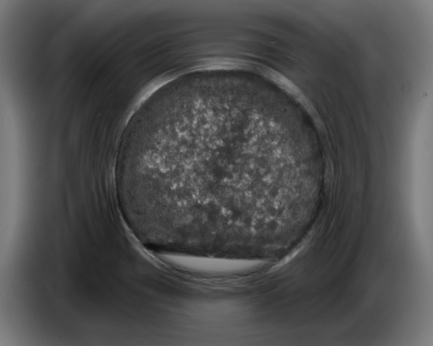 X0000086731417200705041338