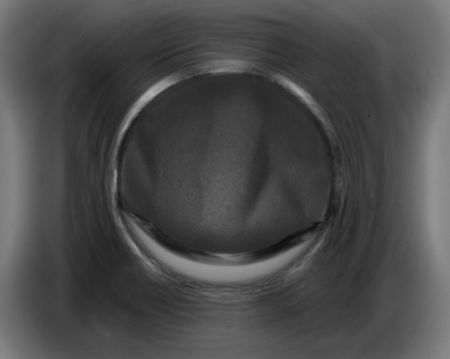 X0000086731418200705041338