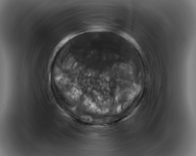 X0000086731419200705041338