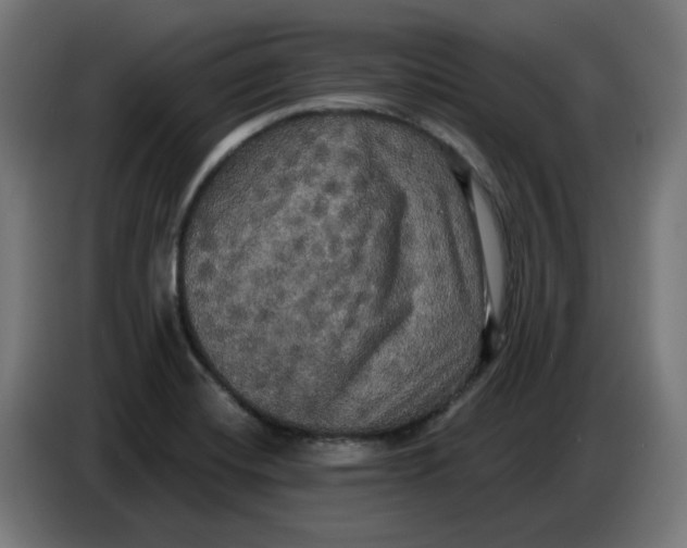 X0000086731420200705041338