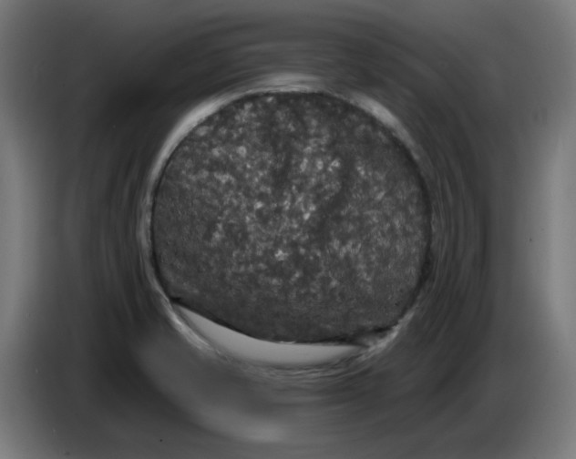 X0000086731421200705041338