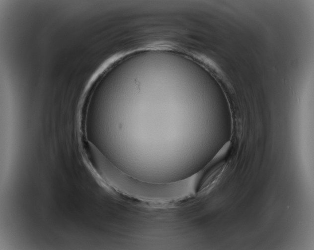 X0000086731422200705041338