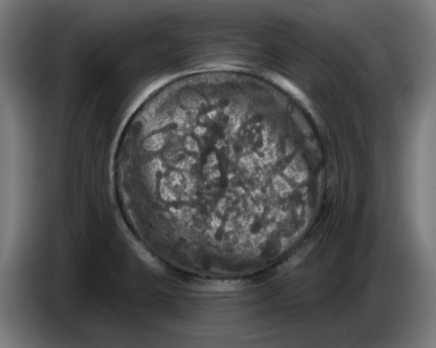 X0000086731423200705041338