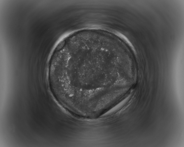 X0000086731424200705041338