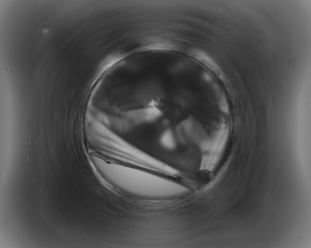 X0000086731425200705041338