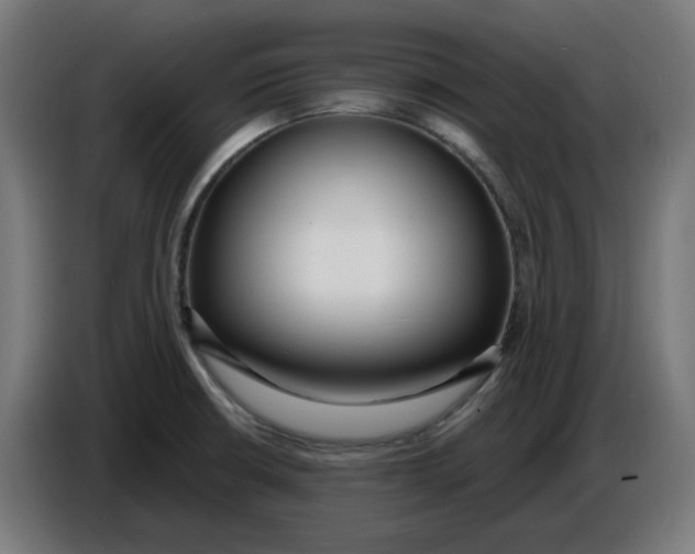 X0000086731426200705041338