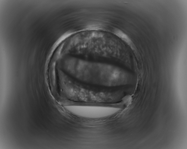 X0000086731427200705041338