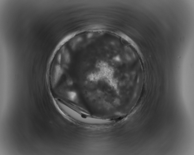 X0000086731429200705041338