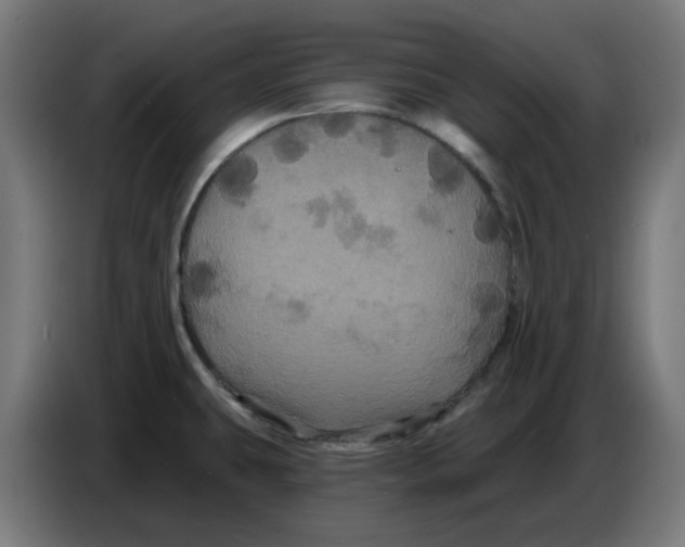 X0000086731431200705041339