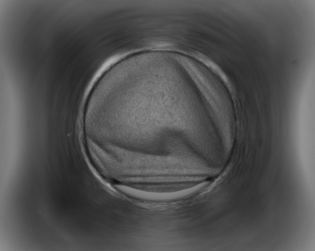 X0000086731432200705041339