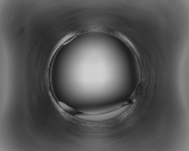 X0000086731434200705041339