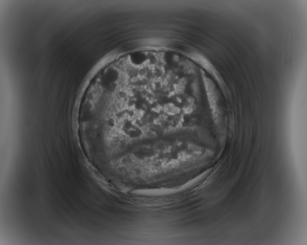 X0000086731435200705041339