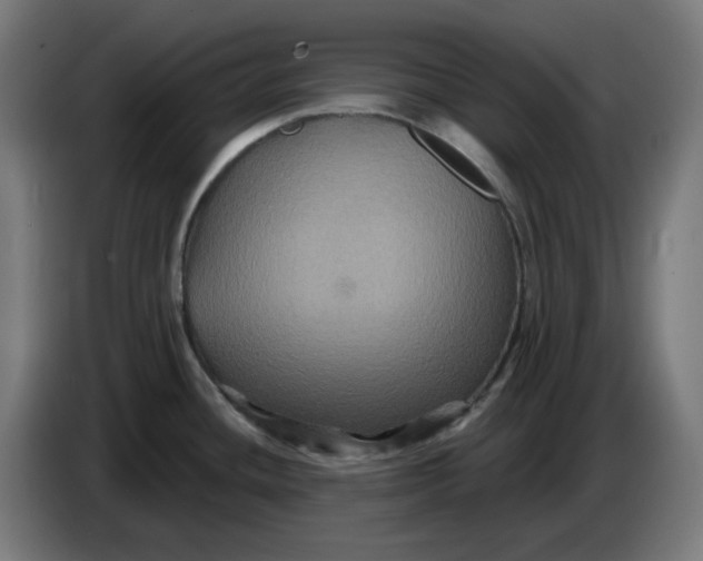 X0000086731436200705041339