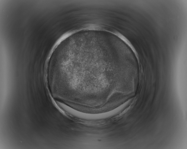 X0000086731437200705041339