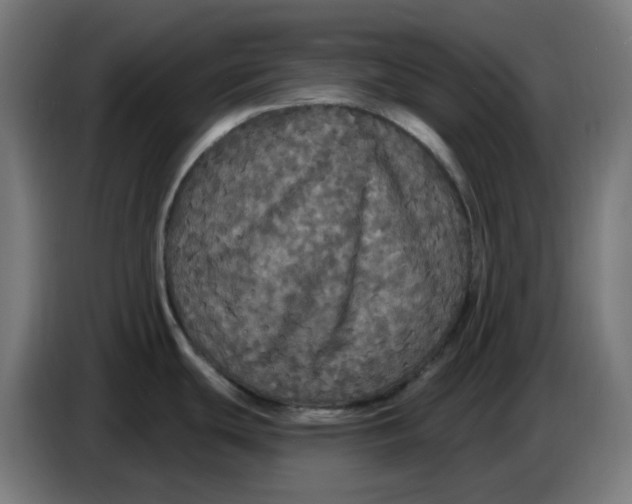 X0000086731439200705041339