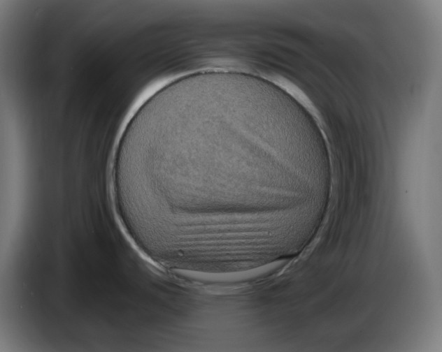 X0000086731440200705041339