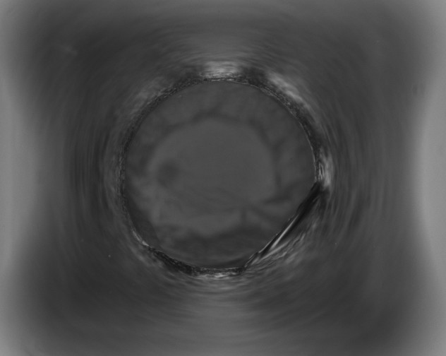 X0000086731441200705041338